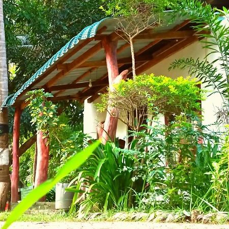 Sigiri Picaso Home Stay Sigiriya Exterior photo